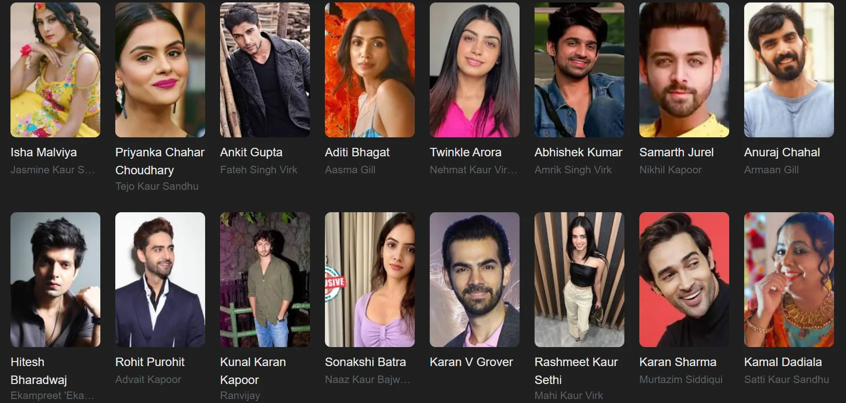 Udaariyaan Serial Cast